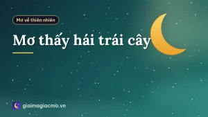 Mơ thấy hái trái cây