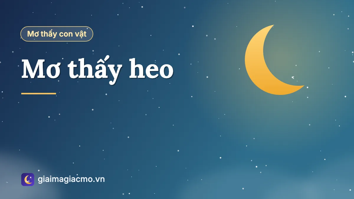 Minh hoạ giấc mơ thấy heo con trắng trong chuồng