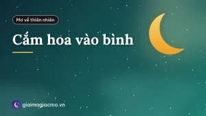 Cắm hoa vào bình