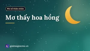 Mơ thấy hoa hồng