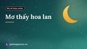 Mơ thấy hoa lan