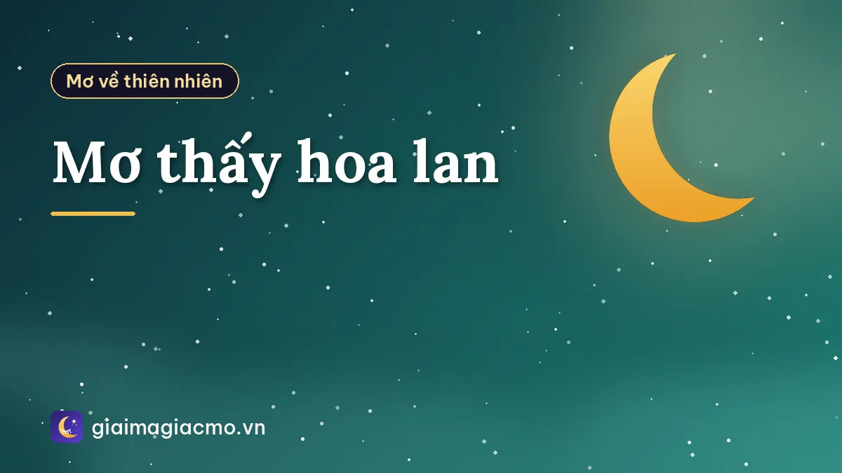 Mơ thấy hoa lan