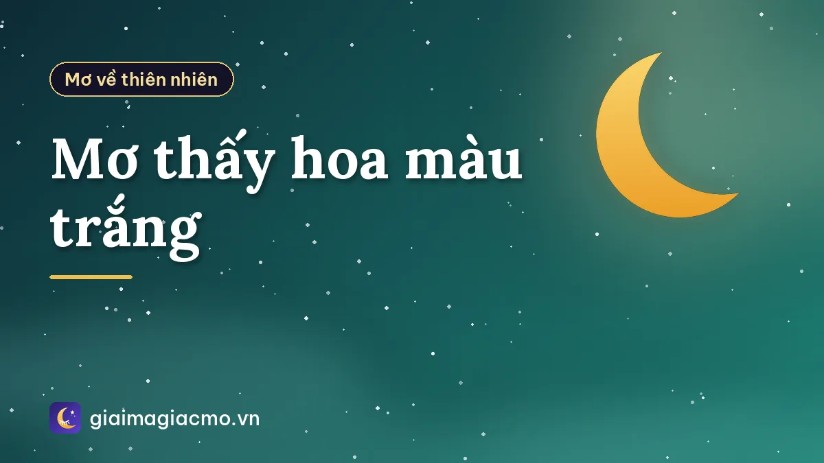 Mơ thấy hoa màu trắng