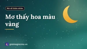 Mơ thấy hoa màu vàng