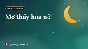 Mơ thấy hoa nở