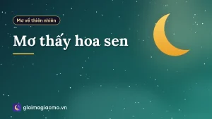 Mơ thấy hoa sen