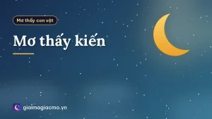 Mơ thấy kiến