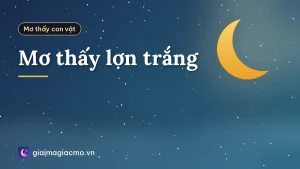 Mơ thấy lợn trắng