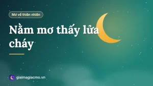 Minh hoạ giấc mơ thấy ngọn lửa cháy đỏ rực trong đêm