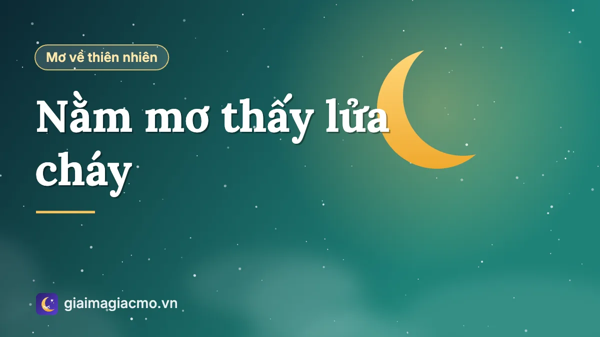 Minh hoạ giấc mơ thấy ngọn lửa cháy đỏ rực trong đêm