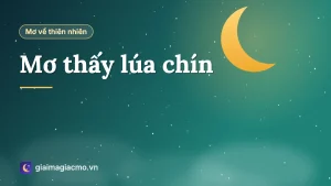 Minh hoạ cánh đồng lúa chín vàng trong giấc mơ
