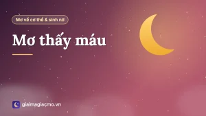 Minh hoạ giải mã giấc mơ thấy máu và con số liên quan theo sổ mơ