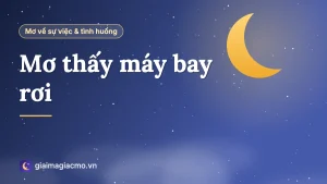 Minh hoạ giải mã giấc mơ thấy máy bay rơi và các tình huống trong mơ