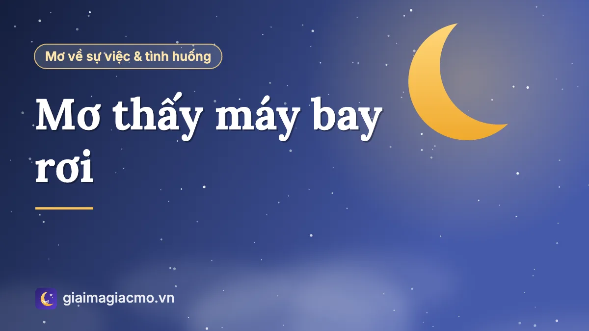 Minh hoạ giải mã giấc mơ thấy máy bay rơi và các tình huống trong mơ
