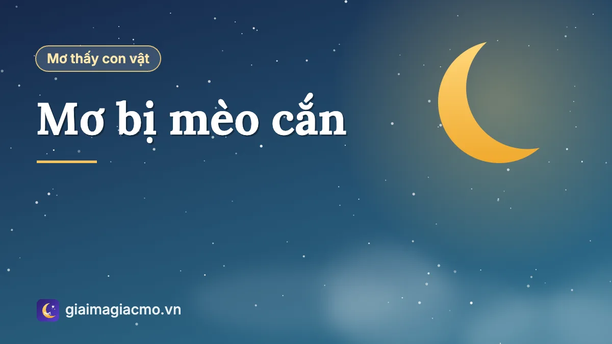 Minh hoạ giấc mơ bị con mèo cắn vào tay