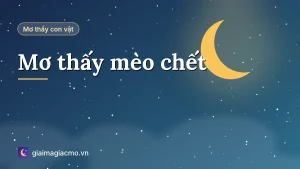 Minh hoạ giải mã giấc mơ thấy mèo chết theo màu lông và hoàn cảnh