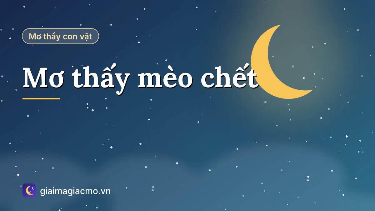 Minh hoạ giải mã giấc mơ thấy mèo chết theo màu lông và hoàn cảnh