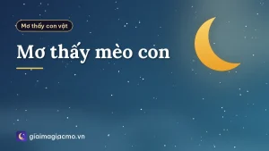 Mơ thấy mèo con