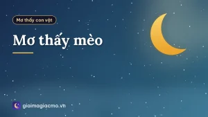 Mơ thấy mèo