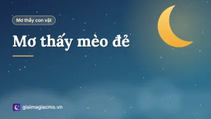 Minh hoạ mèo mẹ nằm cùng đàn mèo con mới đẻ trong ổ khăn mềm