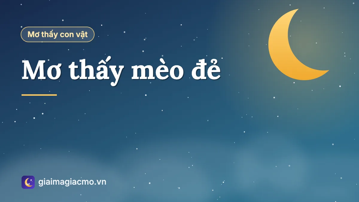 Minh hoạ mèo mẹ nằm cùng đàn mèo con mới đẻ trong ổ khăn mềm