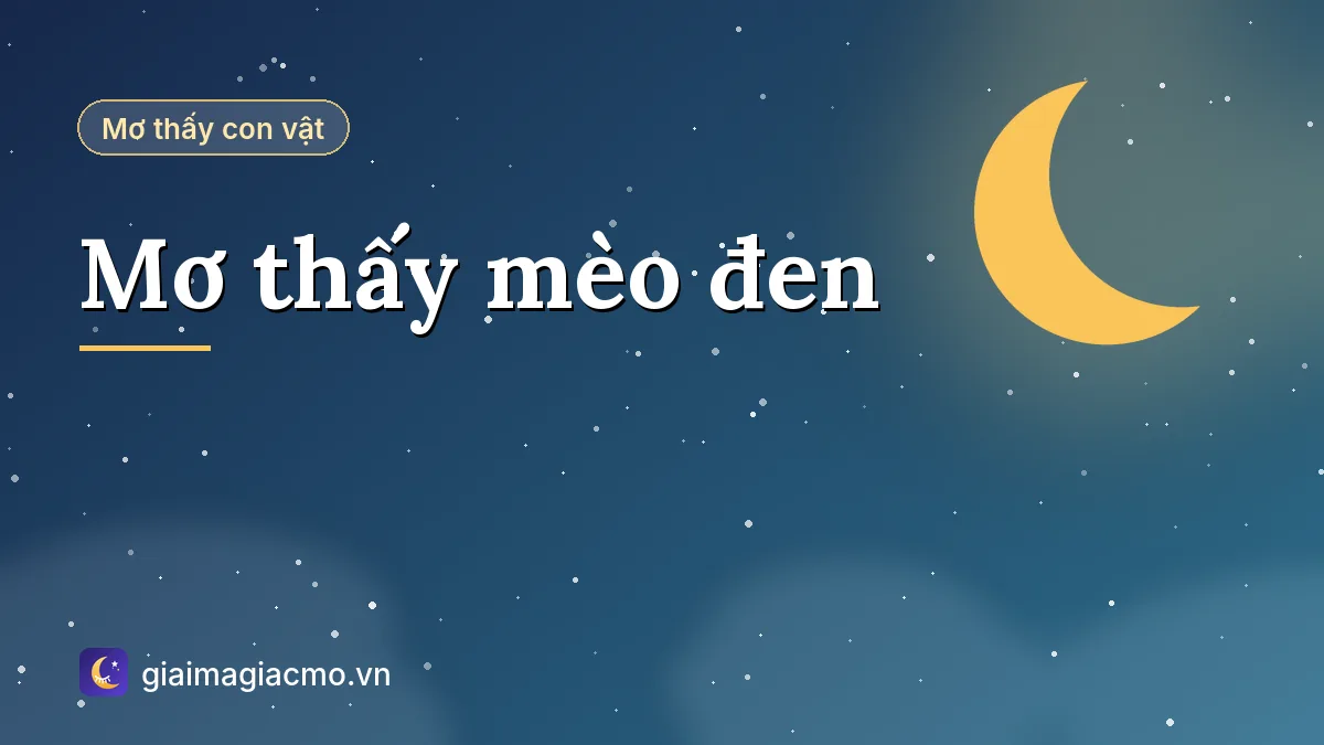 Minh hoạ giải mã giấc mơ thấy mèo đen