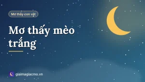 Minh hoạ giải mã giấc mơ thấy mèo trắng