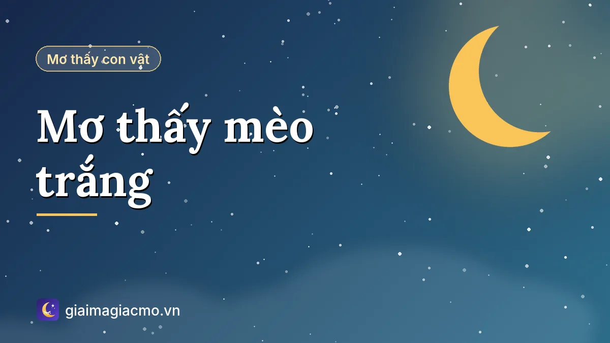 Minh hoạ giải mã giấc mơ thấy mèo trắng