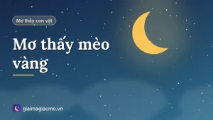 Minh hoạ giải mã giấc mơ thấy mèo vàng