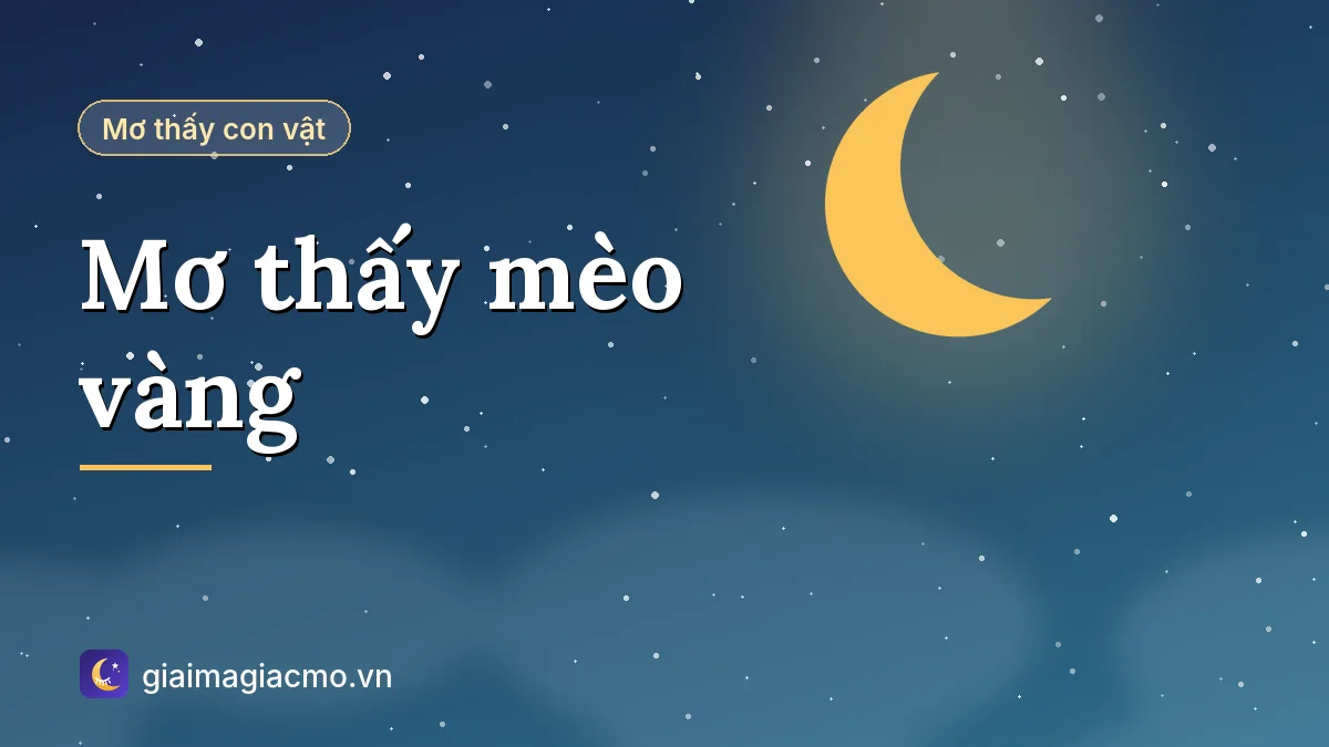 Minh hoạ giải mã giấc mơ thấy mèo vàng