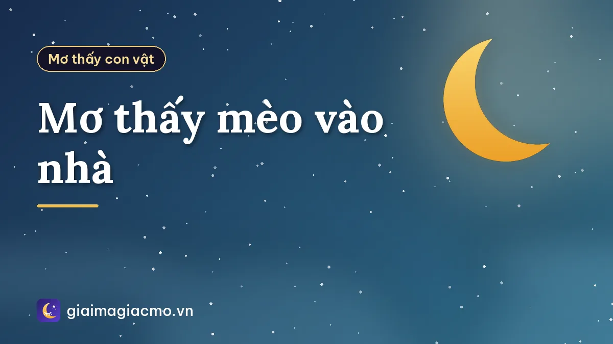 Mơ thấy mèo vào nhà
