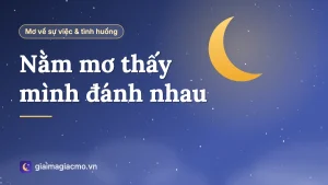 Minh hoạ giấc mơ thấy mình đánh nhau với người khác