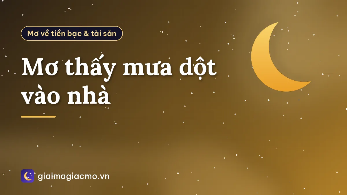 Mơ thấy mưa dột vào nhà