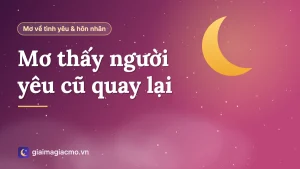 Minh hoạ giải mã giấc mơ người yêu cũ quay lại xin làm lành