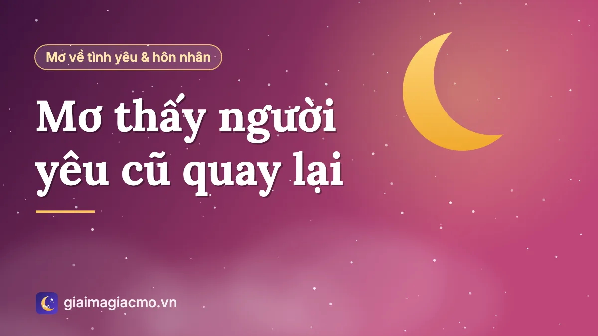 Minh hoạ giải mã giấc mơ người yêu cũ quay lại xin làm lành