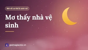 Minh hoạ giải mã giấc mơ thấy nhà vệ sinh sạch, bẩn và ngập nước
