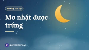 Minh hoạ giải mã giấc mơ nhặt được trứng