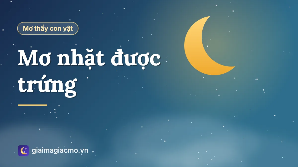 Minh hoạ giải mã giấc mơ nhặt được trứng