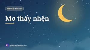 Minh hoạ giải mã giấc mơ thấy nhện giăng tơ