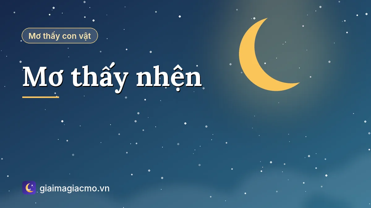 Minh hoạ giải mã giấc mơ thấy nhện giăng tơ