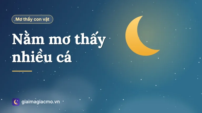 Nằm mơ thấy nhiều cá là điềm gì? Giải mã chi tiết và con số liên quan