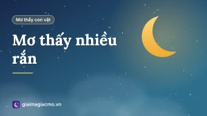 Minh hoạ giấc mơ thấy nhiều rắn, đàn rắn bò quanh nhà