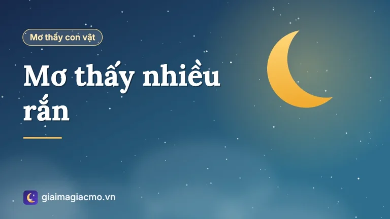 Mơ thấy nhiều rắn là điềm gì? Giải mã giấc mơ đàn rắn, ổ rắn