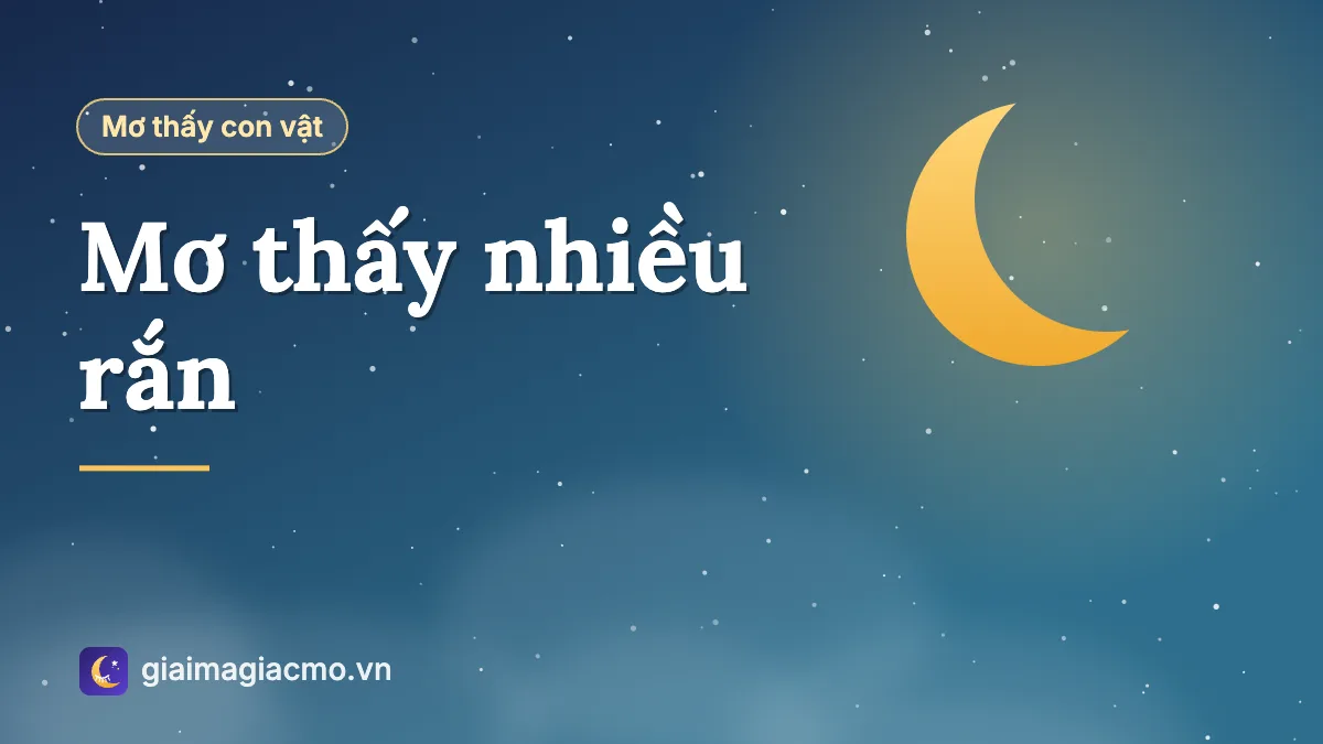 Minh hoạ giấc mơ thấy nhiều rắn, đàn rắn bò quanh nhà