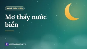Minh hoạ giấc mơ thấy nước biển với sóng và bờ cát