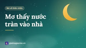 Minh hoạ giải mã giấc mơ thấy nước tràn vào nhà
