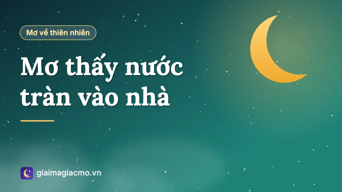 Minh hoạ giải mã giấc mơ thấy nước tràn vào nhà