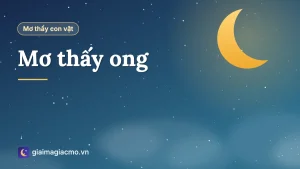 Minh hoạ giải mã giấc mơ thấy đàn ong và tổ ong mật trên cành cây