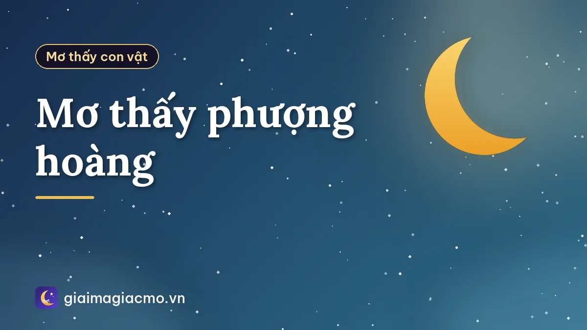 Mơ thấy phượng hoàng