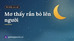 Mơ thấy rắn bò lên người